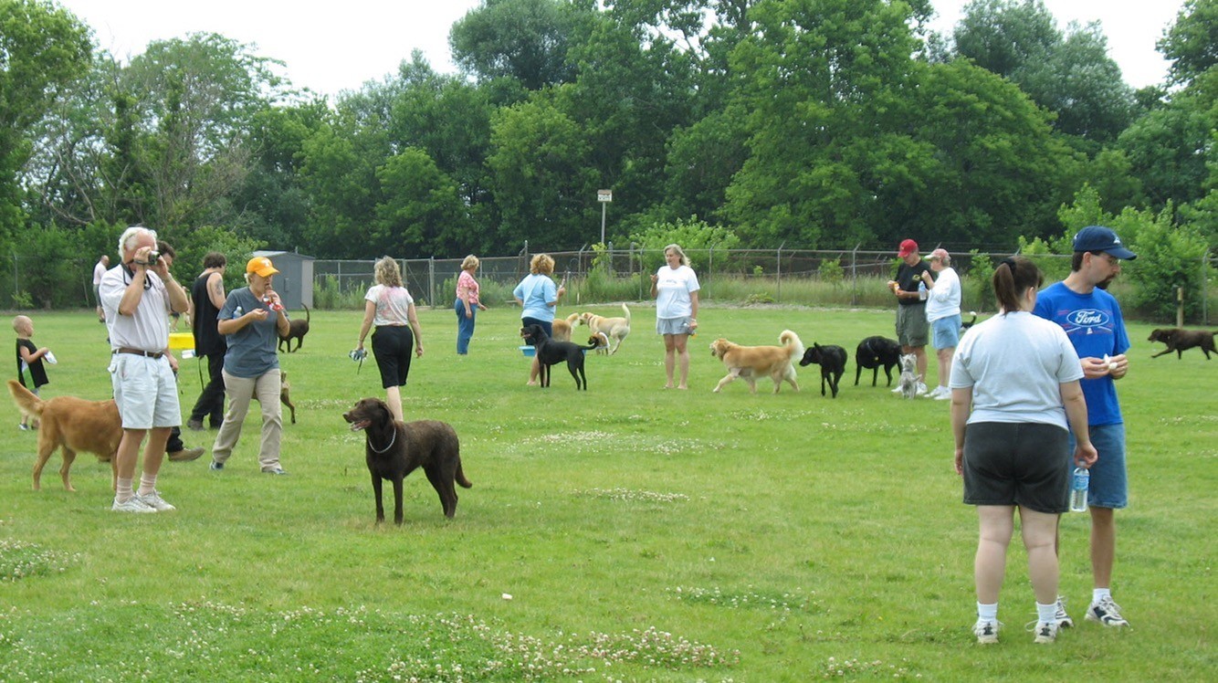 Yard Sale Planned to Support Cobourg Dog Park